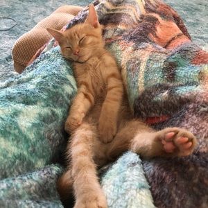 Meet your Posher, Cody